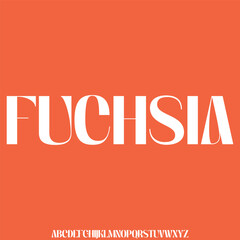 Elegant and strong decorative display font vector. Creative trendy curvy typography style illustration