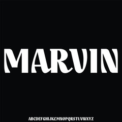 Modern unique sans serif display font vector