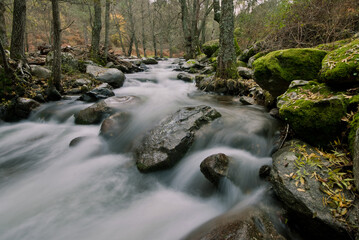 Río