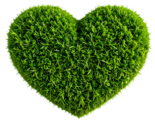 Heart-Formed Grass Cluster, Isolated on Clear Background