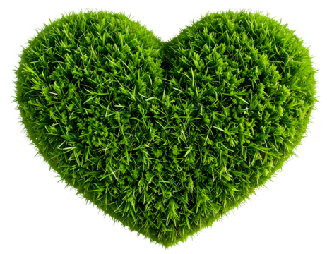 Heart-Formed Grass Cluster, Isolated on Clear Background