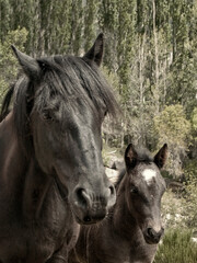 Obraz premium OLYMPUS DIGITAL CAMERA