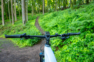 Mountainbiking at Palatinate Forest