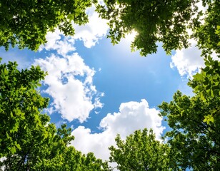 Fototapeta premium Sunny sky through lush leaves