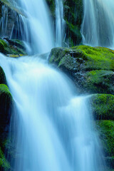Beautiful natural waterfall. Foliage in beautiful natural waterfall. Vertical image.