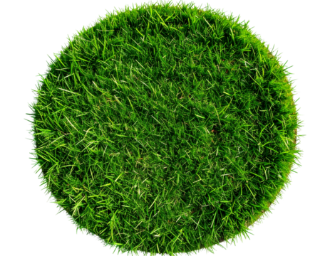 Top-Down View of Dense Green Grass Circle, Transparent PNG.