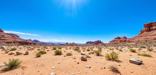 Fototapeta premium Arid stone desert landscape under a vibrant blue sky; sparse vegetation and scattered rocks bathed in sunlight, dry, design