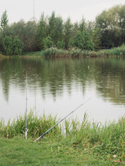 Vertical Panorama of a Rainy Lake with Fishing Rods, Lviv Region Village Tranquility