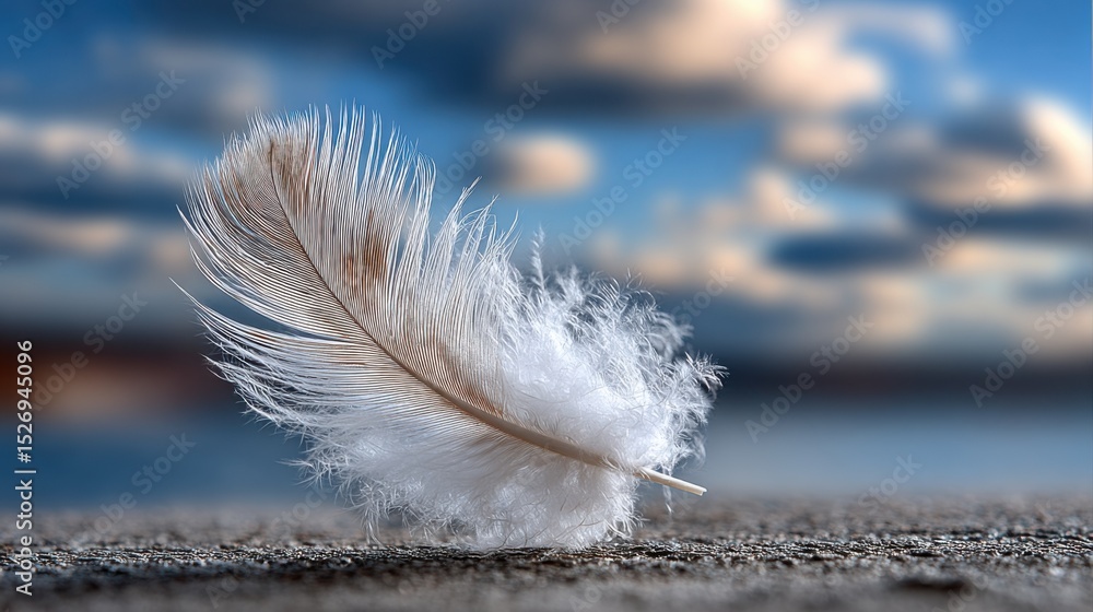 Poster a soft white feather is gently lying on a textured surface. the background features a blurry sky wit