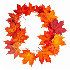 Fototapeta premium Autumn Maple Leaf Wreath on White Background