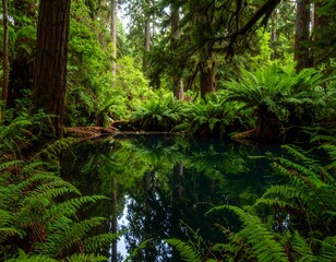 Obraz premium Lush forest pool reflection