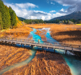 Aerial view of woman on wooden bridge, azure river and orange grass at sunset in golden autumn. Zelenci lake, Slovenia, Triglav park in fall. Top drone view of bridge, girl, mountains, water, trees