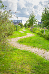 Scenic landscaped winding footpath in a grassfield