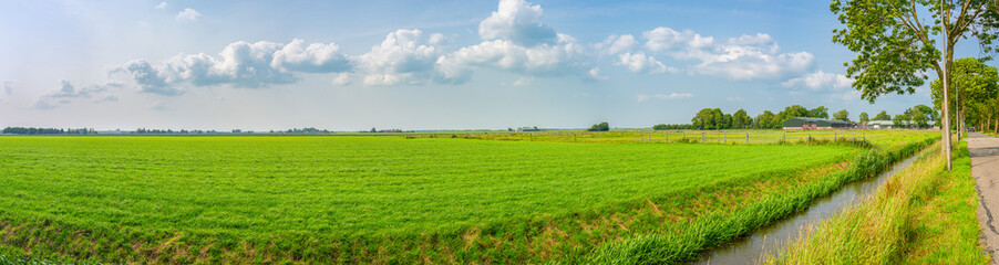 Scenic panorama of the green wide open dutch countryside near Gouda, western Netherlands