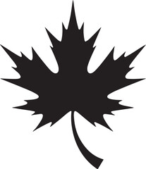 Silhouette of a maple leaf, perfect for autumnal designs.