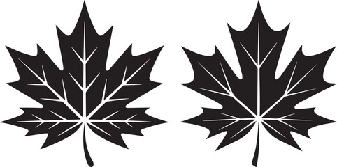 Two Black Silhouette Maple Leaves on White Background