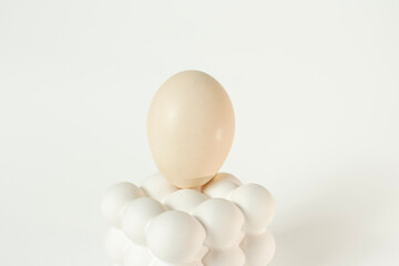 White egg placed on a modern bubble-style egg holder on isolated white background. 