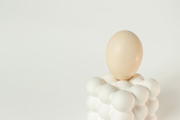 White egg placed on a modern bubble-style egg holder on isolated white background. 