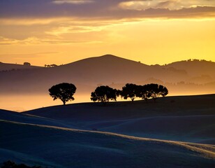 Silhouetted trees at sunrise