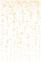 Champagne., orange sparkling water or beer.