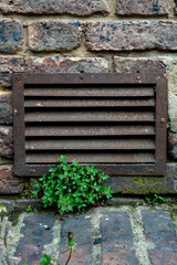 old brick wall with window grid