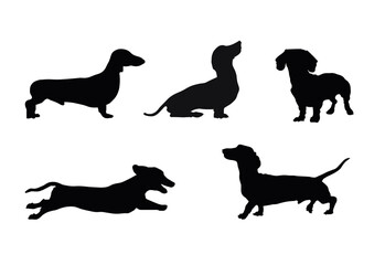 Dachshund silhouette vector, Set of black dogs silhouette in different poses,Hand drawn black dogs on white background