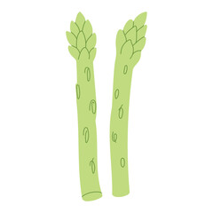 Trendy Hand Drawn asparagus vegetable Illustration isolated on white background. Modern Abstract Mediterranean Aesthetic. Vector Art for Home Decor, Dining Spaces
