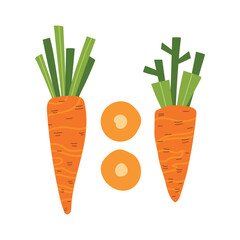 Trendy Hand Drawn carrot vegetable Illustration isolated on white background. Modern Abstract Mediterranean Aesthetic. Vector Art for Home Decor, Dining Spaces