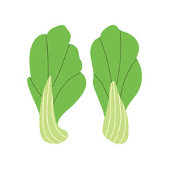Trendy Hand Drawn Bok choy cabbage vegetable Illustration isolated on white background. Modern Abstract Mediterranean Aesthetic. Vector Art for Home Decor, Dining Spaces
