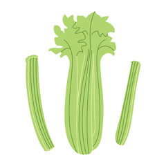 Trendy Hand Drawn celery vegetable Illustration isolated on white background. Modern Abstract Mediterranean Aesthetic. Vector Art for Home Decor, Dining Spaces