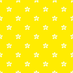 Seamless pattern of small white plumeria flowers on a yellow background