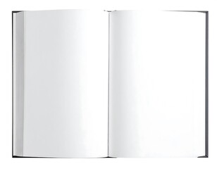 Open book, blank pages (2)