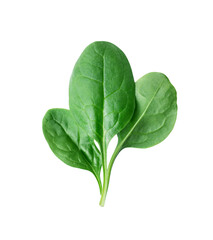 Fresh green spinach leaves isolated on a white background. Minimalist healthy food concept for vegetarian or organic diet themes