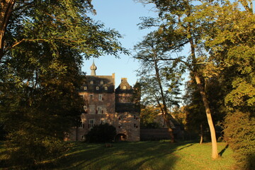 Naklejka premium old castle in the forest