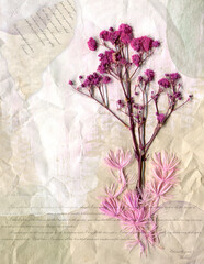 Collage journal page.