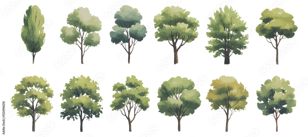 Poster set of watercolor trees isolated on white background different shapes and shades of green perfect fo