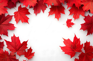 Canada day design end civic day holiday of red maple leaves background with copy space illustration