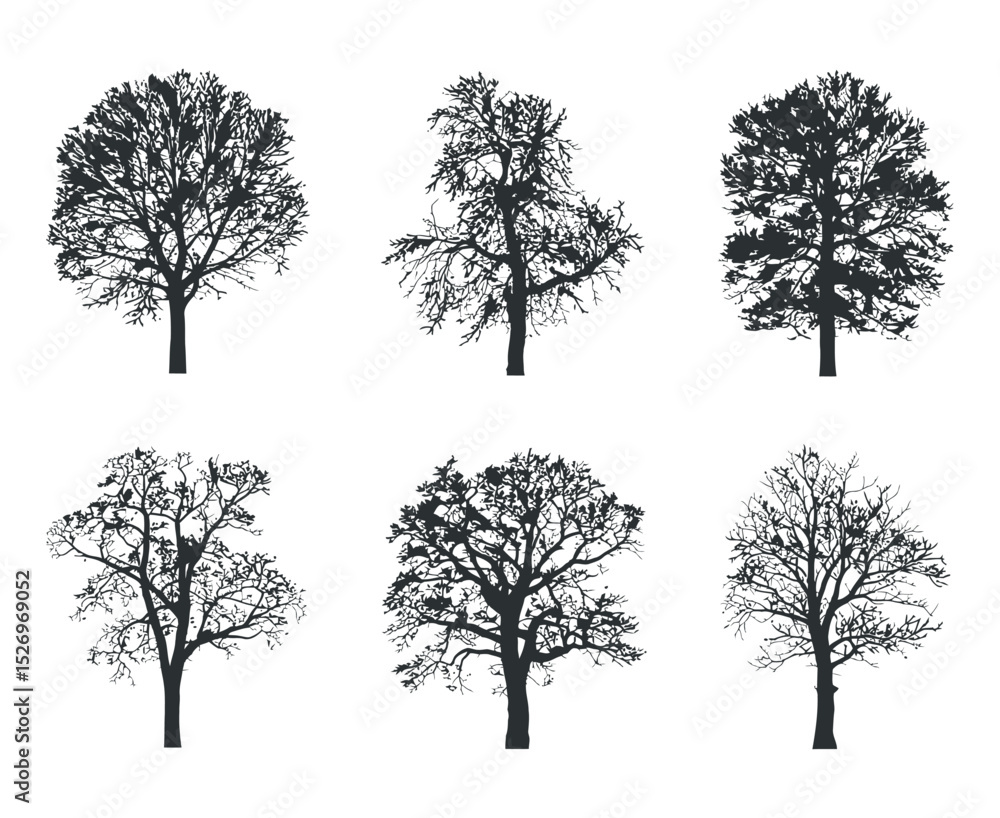 Poster collection of six different tree silhouettes isolated on white background for use in design projects