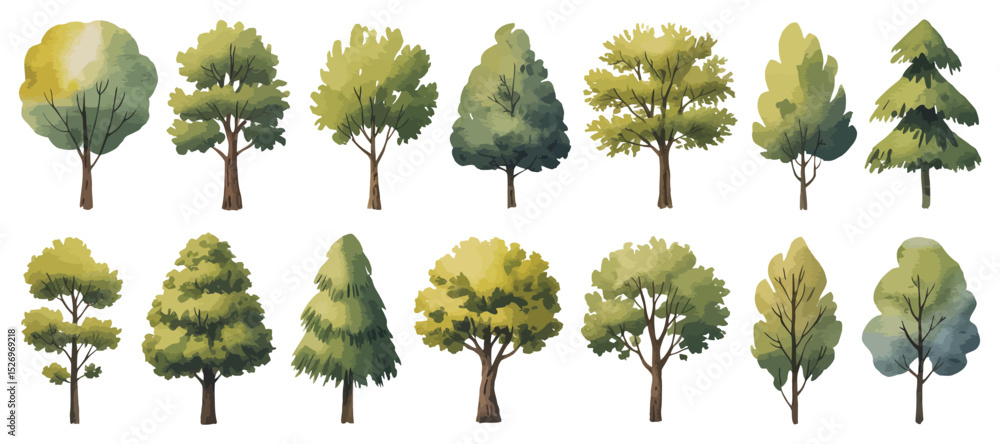 Poster watercolor trees set collection of different tree shapes isolated on white background hand drawn ill