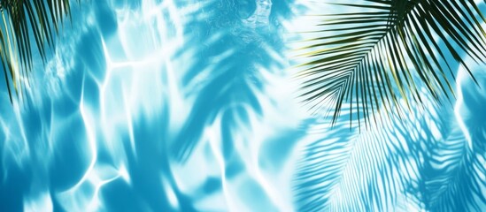 Palm Leaf Shadow on Blue Water - Tropical Relaxation, Summer , Vacation