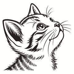 Cat vector 