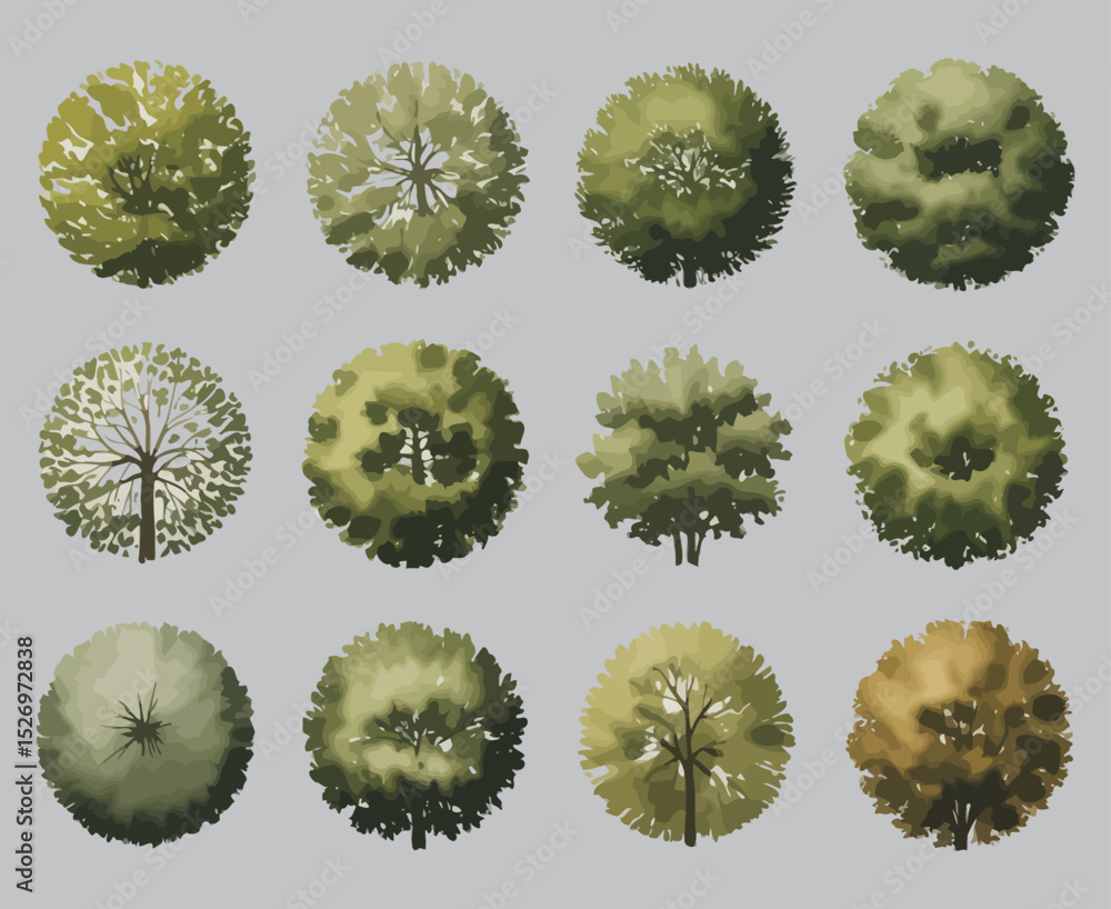 Poster set of top view tree illustrations for architectural and landscape design including green and brown 