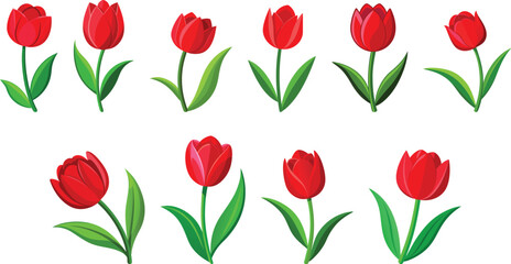 Red tulip flowers logo set vector illustration
