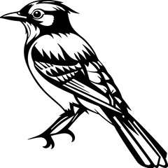 Vector illustration of a bird