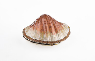 jewelry box shell isolated on white background