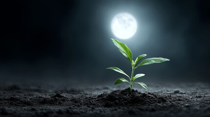 Delicate green sprout emerging through barren ground, moonlit landscape highlighting resilience and potential growth amid harsh conditions