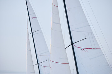 multiple sails at the sailing regatta in the Gulf of Finland at cloudy weather, hot race of several...