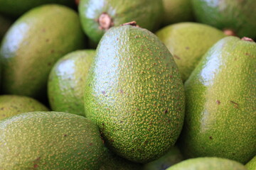 fresh green avocado close up