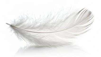 A single, delicate white feather floats gracefully against a pristine white background, casting a subtle shadow