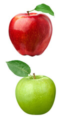 Apple Fruit 2 Set Mobile Ratio. Red Apple, Green Apple, Yellow Apple and Colorful Apple.